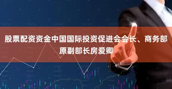 股票配资资金中国国际投资促进会会长、商务部原副部长房爱卿