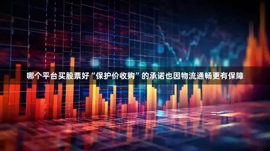 哪个平台买股票好“保护价收购”的承诺也因物流通畅更有保障