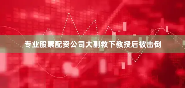 专业股票配资公司大副救下教授后被击倒