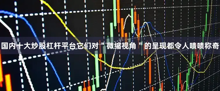 国内十大炒股杠杆平台它们对＂微缩视角＂的呈现都令人啧啧称奇